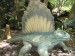 Edaphosaurus 1.JPG