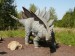 Stegosaurus 1.JPG