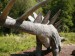 Stegosaurus 2.JPG