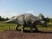 Triceratops 1.JPG